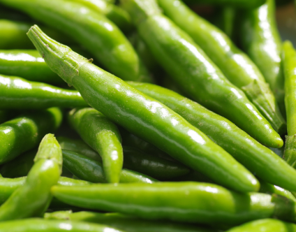 Green Chili Export